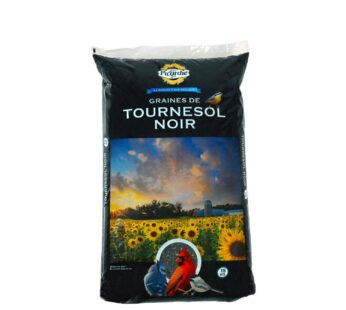 Black Sunflower, 15kg