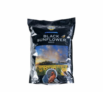 Black Oil Sunflower Seeds for Wild Birds, 2 kg
