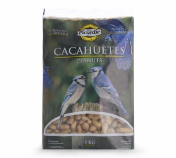 Peanuts with shells for wild birds