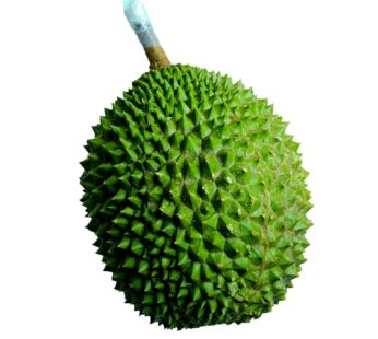 Goldthon Fresh Whole Musang King Durian 2 kg (4.4 lb)