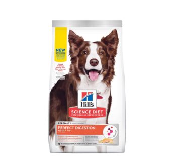 Adult Perfect Digestion Salmon Dry Dog Food, 9.98 kg