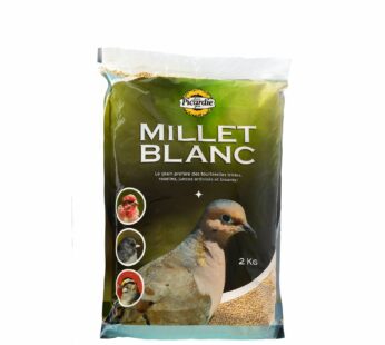 White millet food for wild birds
