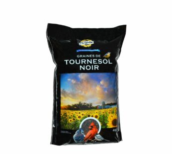 Black sunflower, 4 kg