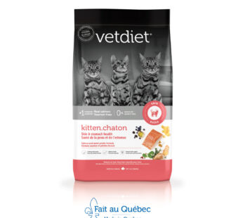 Salmon Skin and Stomach Health Dry Food for Kittens