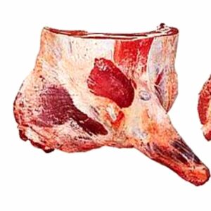 Épaule de buf avec os - 5,50$ / lb (MAXIMUM DE 20 LBS)