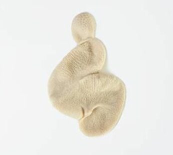 Estomac de chèvre – 5,50 $/lb