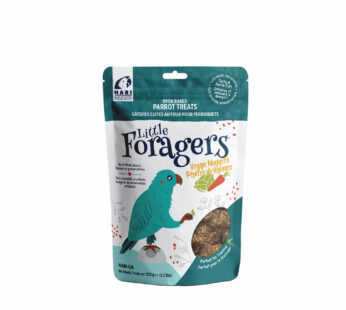 Little Foragers Parrot Veggie Nuggets Treats, 525 g