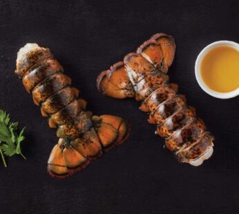 OceanPrime Hardshell Canadian Lobster Tails 4.54 kg (10 lb)