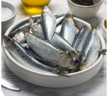 Sardines