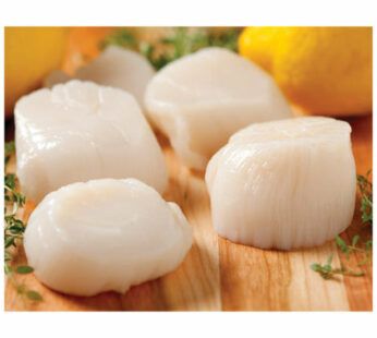 Jumbo Scallops