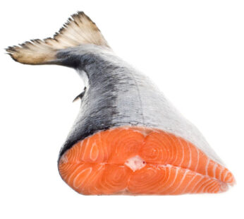 Fresh Whole Atlantic Salmon