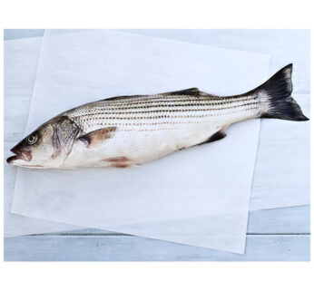 Cleaned Stripped Bass