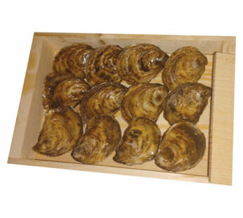 Bijou Oysters