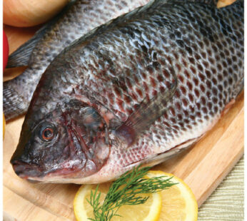 Fresh Cleaned Tilapia