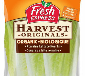 Organic Romaine Hearts