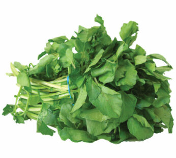 Arugula