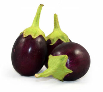 Young Indian Eggplants