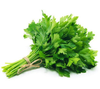 Italian Parsley