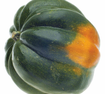 Acorn Squash