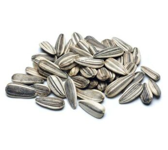 Jumbo Sunflower Seeds