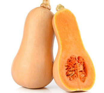 Organic Butternut Squash