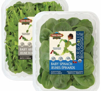 Classic Salads Organic Lettuces