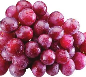 RAISINS ROUGES OU VERTS EXTRA GROS SANS PÉPINS | EXTRA LARGE SEEDLESS RED OR GREEN GRAPES