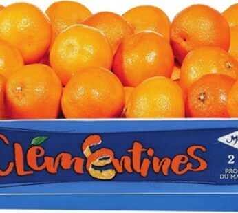 CLÉMENTINES | CLEMENTINES