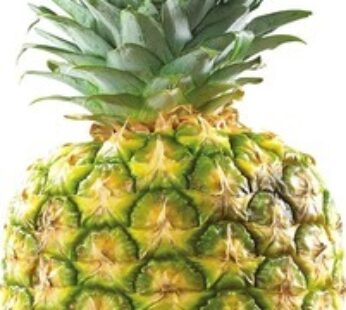 ANANAS TROPICAL GOLD | TROPICAL GOLD PINEAPPLE