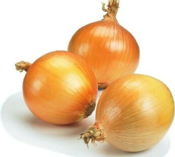 Bulk Yellow Onions