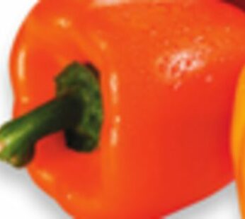 Bulk Red, Yellow or Orange Peppers