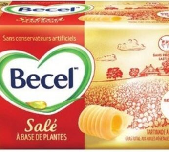 Becel Plant-Based Bricks