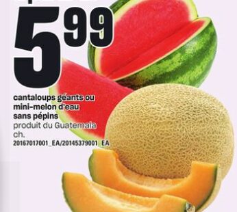 CANTALOUPS GÉANTS OU MINI-MELON D’EAU SANS PÉPINS