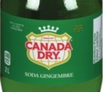 BOISSONS GAZEUSES COCA-COLA, CANADA DRY OU PEPSI 2 L