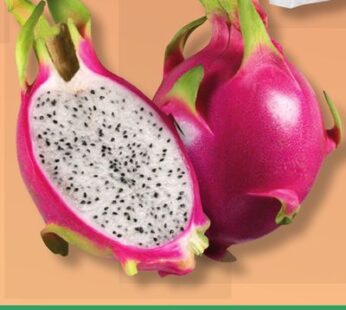 PITAHAYA