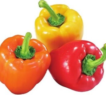 GREENHOUSE SWEET YELLOW, ORANGE OR RED PEPPERS