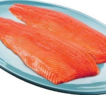 FILET DE SAUMON COHO