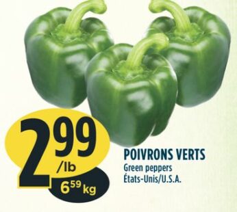 POIVRONS VERTS